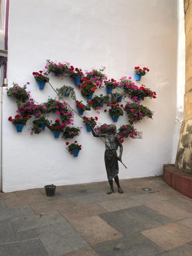 La Regaora Apartamento Córdoba Exteriör bild